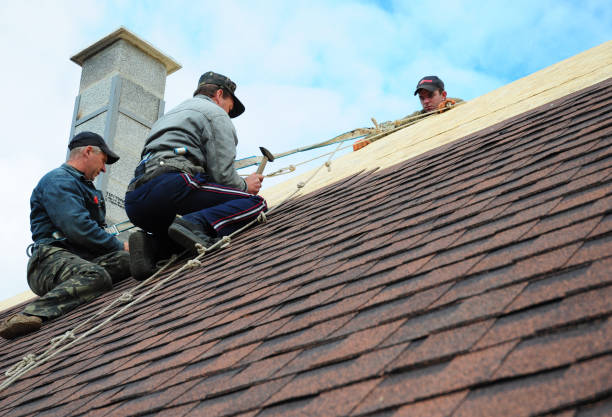 Best Roof Gutter Cleaning  in Caldwell, NJ